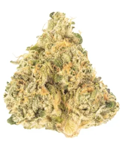 Sour Diesel Australia