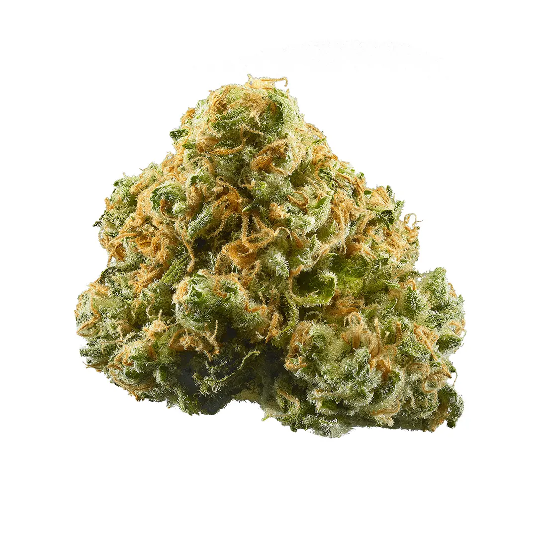 Buy Northern Lights strain online in Australia with fast nationwide shipping